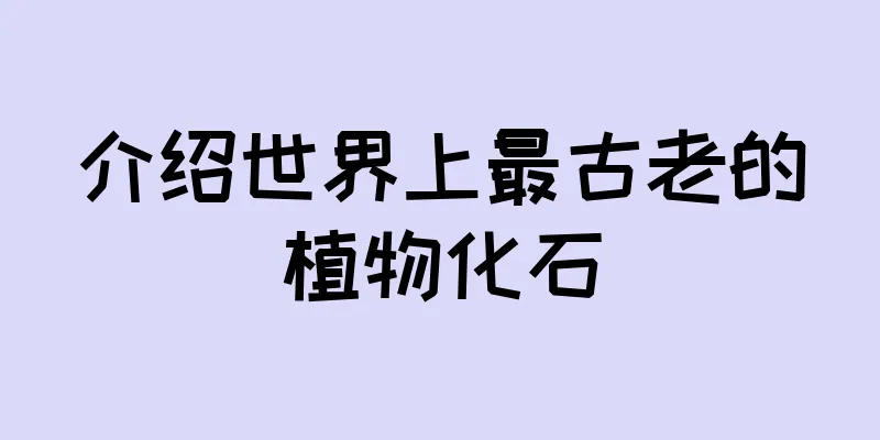 介绍世界上最古老的植物化石