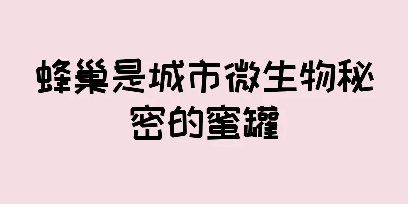蜂巢是城市微生物秘密的蜜罐