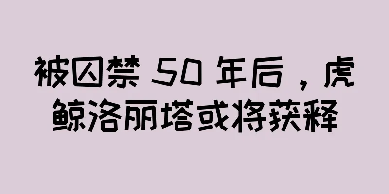 被囚禁 50 年后，虎鲸洛丽塔或将获释