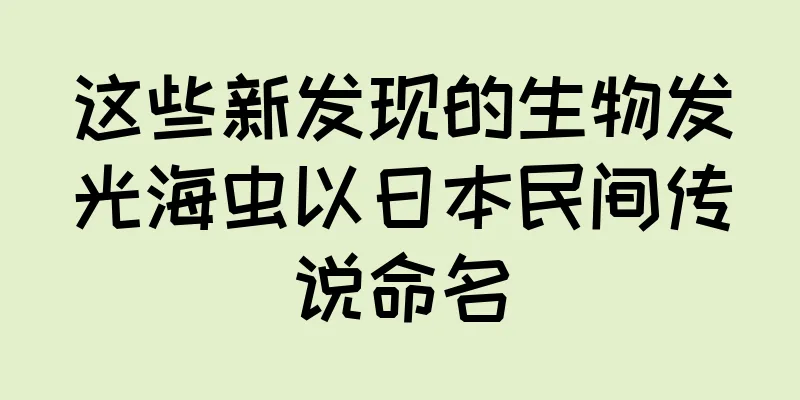这些新发现的生物发光海虫以日本民间传说命名