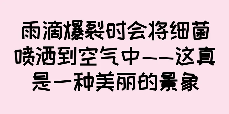 雨滴爆裂时会将细菌喷洒到空气中——这真是一种美丽的景象