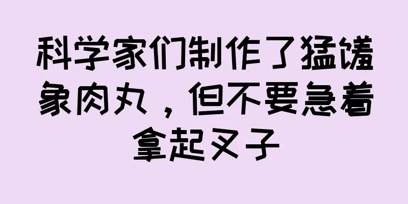 科学家们制作了猛犸象肉丸，但不要急着拿起叉子