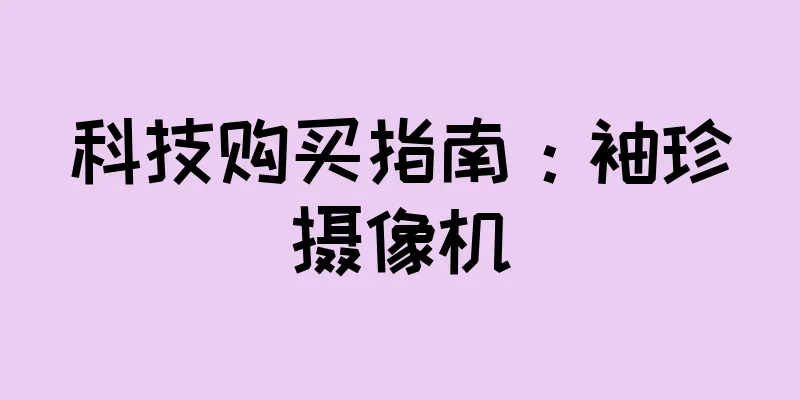 科技购买指南：袖珍摄像机