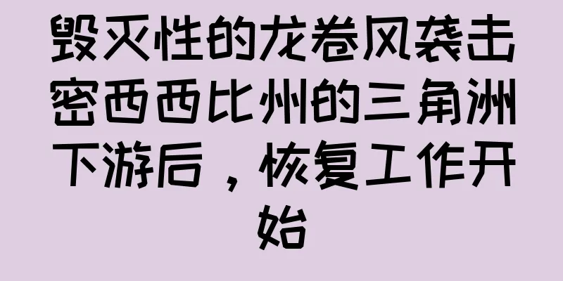毁灭性的龙卷风袭击密西西比州的三角洲下游后，恢复工作开始