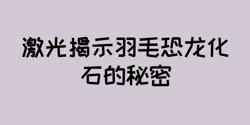 激光揭示羽毛恐龙化石的秘密
