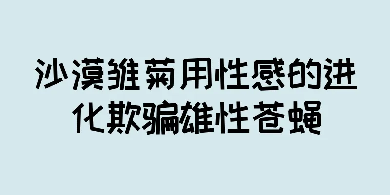 沙漠雏菊用性感的进化欺骗雄性苍蝇