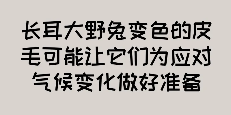 长耳大野兔变色的皮毛可能让它们为应对气候变化做好准备