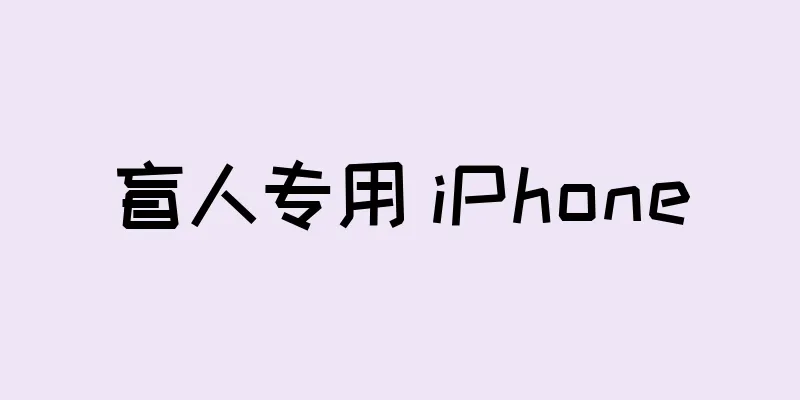 盲人专用 iPhone