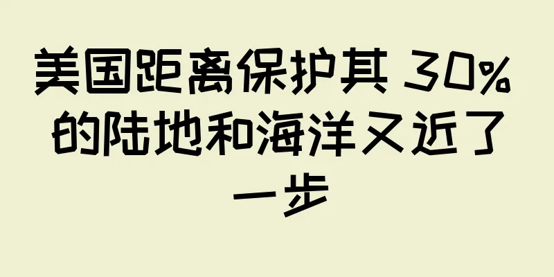 美国距离保护其 30% 的陆地和海洋又近了一步