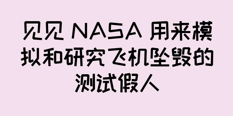 见见 NASA 用来模拟和研究飞机坠毁的测试假人