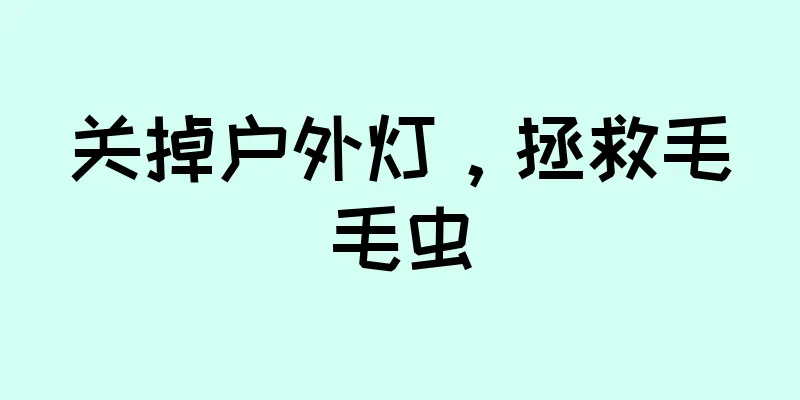 关掉户外灯，拯救毛毛虫