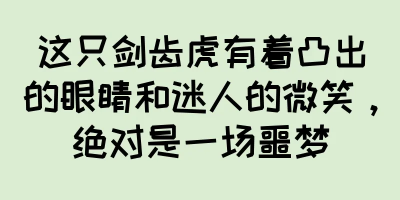 这只剑齿虎有着凸出的眼睛和迷人的微笑，绝对是一场噩梦