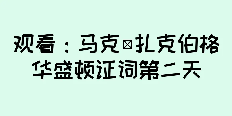 观看：马克·扎克伯格华盛顿证词第二天