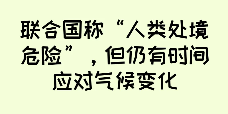 联合国称“人类处境危险”，但仍有时间应对气候变化