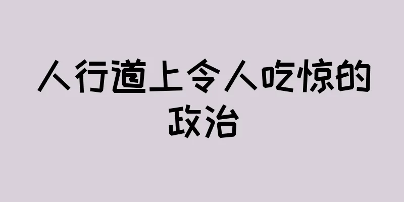 人行道上令人吃惊的政治