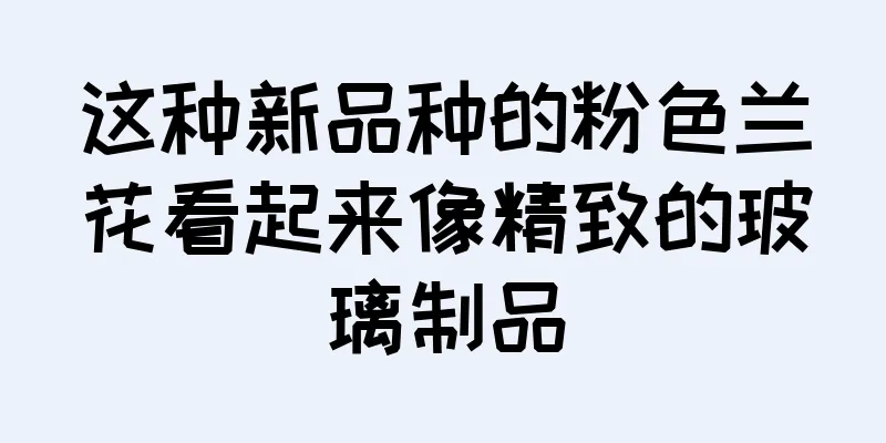 这种新品种的粉色兰花看起来像精致的玻璃制品