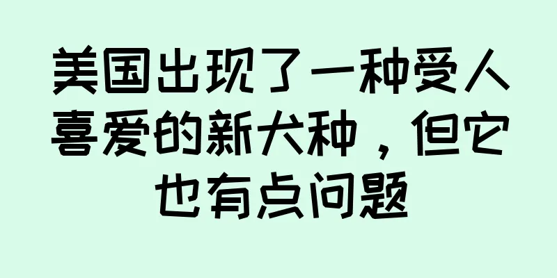 美国出现了一种受人喜爱的新犬种，但它也有点问题