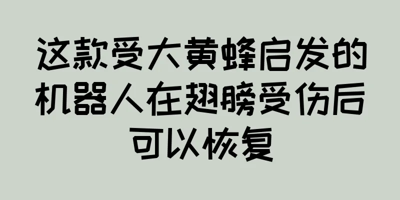 这款受大黄蜂启发的机器人在翅膀受伤后可以恢复