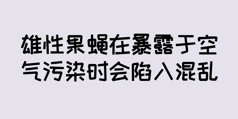 雄性果蝇在暴露于空气污染时会陷入混乱
