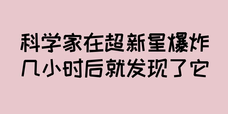 科学家在超新星爆炸几小时后就发现了它