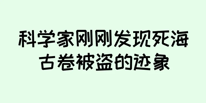 科学家刚刚发现死海古卷被盗的迹象