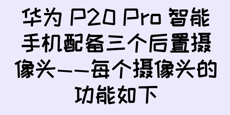 华为 P20 Pro 智能手机配备三个后置摄像头——每个摄像头的功能如下