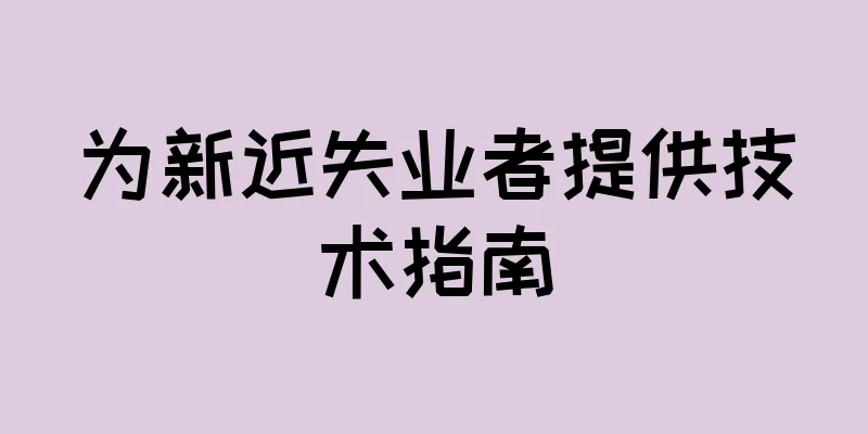 为新近失业者提供技术指南