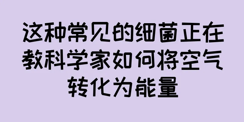 这种常见的细菌正在教科学家如何将空气转化为能量