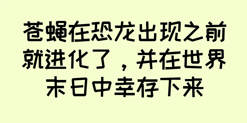 苍蝇在恐龙出现之前就进化了，并在世界末日中幸存下来