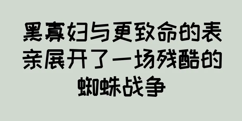 黑寡妇与更致命的表亲展开了一场残酷的蜘蛛战争