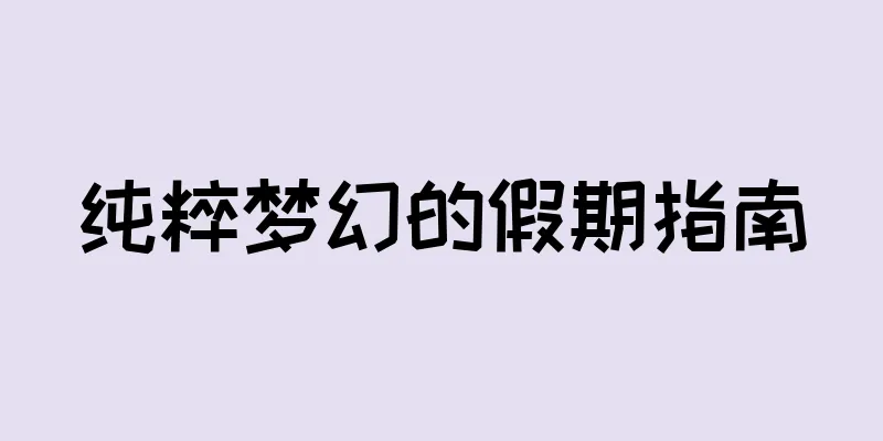 纯粹梦幻的假期指南