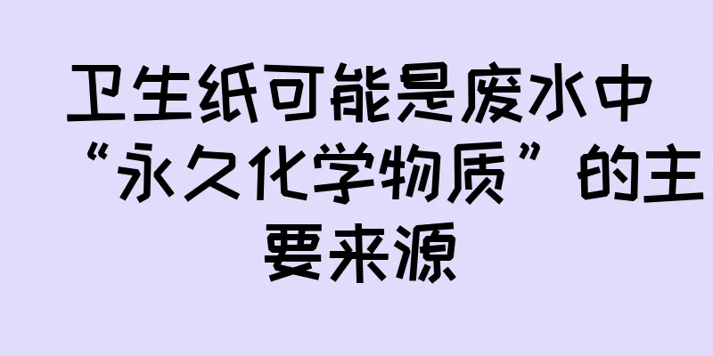 卫生纸可能是废水中“永久化学物质”的主要来源