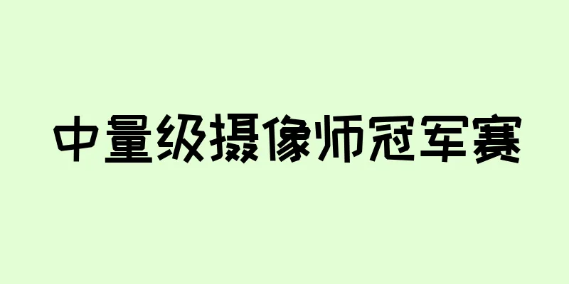 中量级摄像师冠军赛