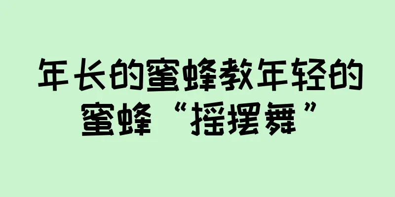 年长的蜜蜂教年轻的蜜蜂“摇摆舞”