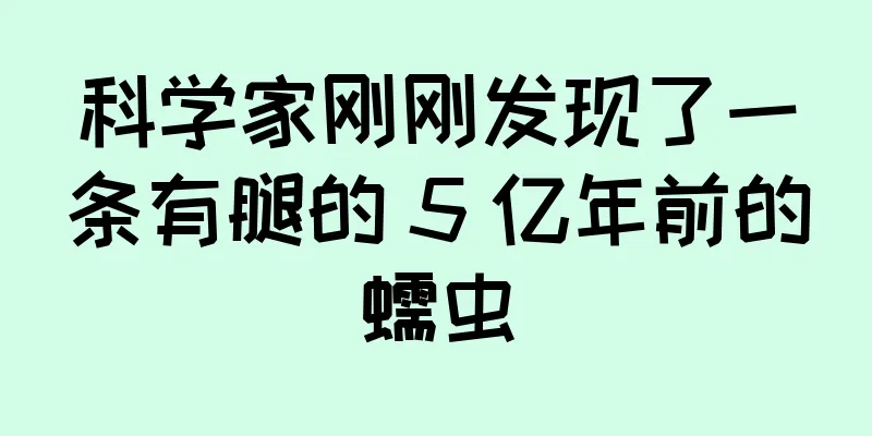 科学家刚刚发现了一条有腿的 5 亿年前的蠕虫