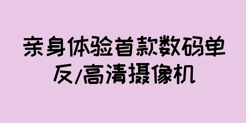 亲身体验首款数码单反/高清摄像机