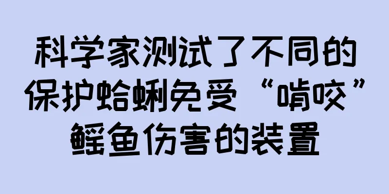 科学家测试了不同的保护蛤蜊免受“啃咬”鳐鱼伤害的装置