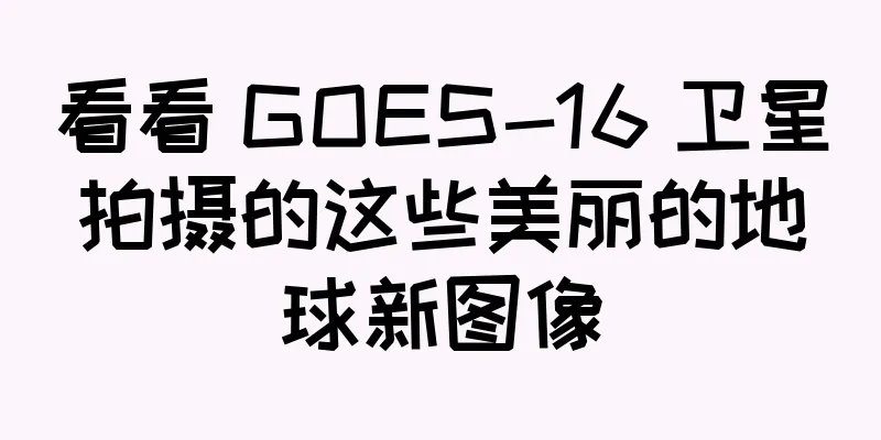 看看 GOES-16 卫星拍摄的这些美丽的地球新图像