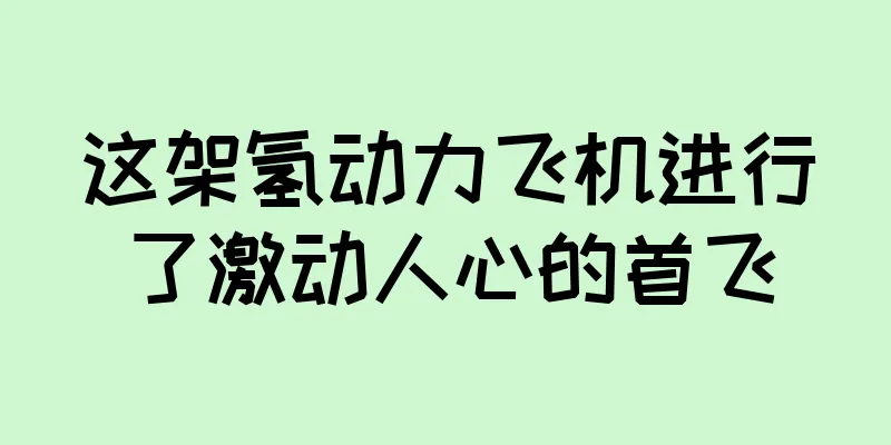 这架氢动力飞机进行了激动人心的首飞