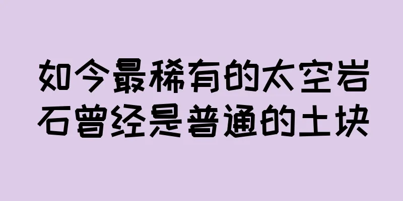 如今最稀有的太空岩石曾经是普通的土块