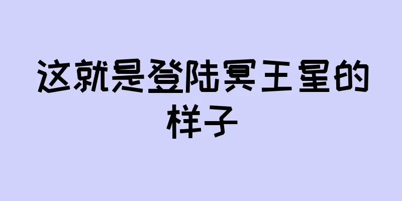 这就是登陆冥王星的样子