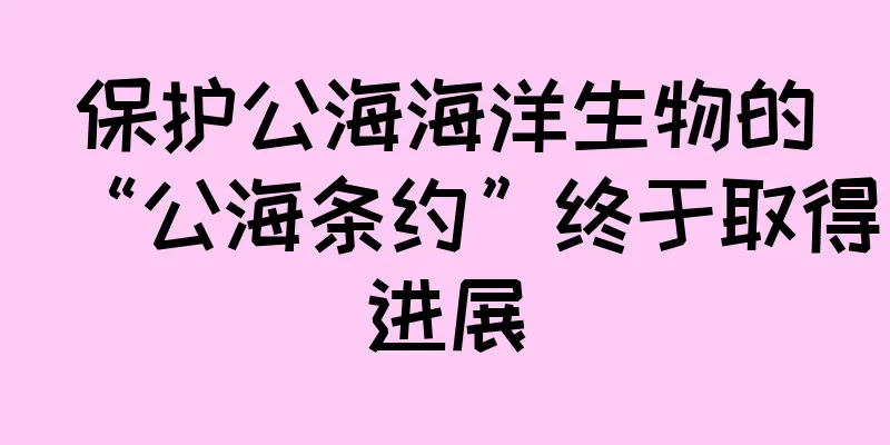 保护公海海洋生物的“公海条约”终于取得进展