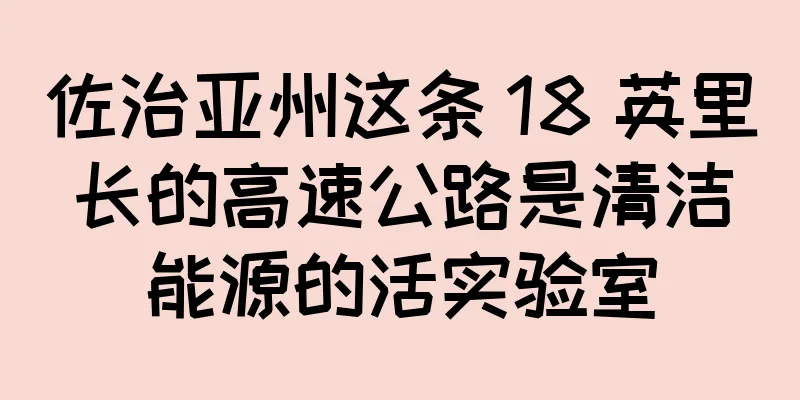佐治亚州这条 18 英里长的高速公路是清洁能源的活实验室