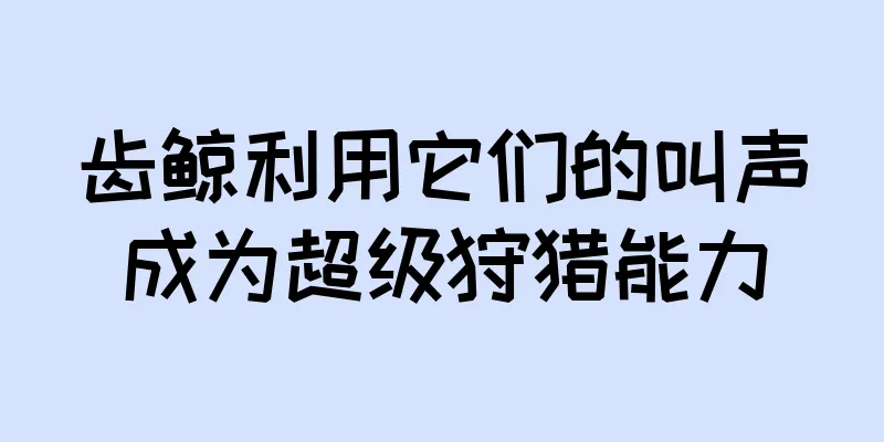 齿鲸利用它们的叫声成为超级狩猎能力