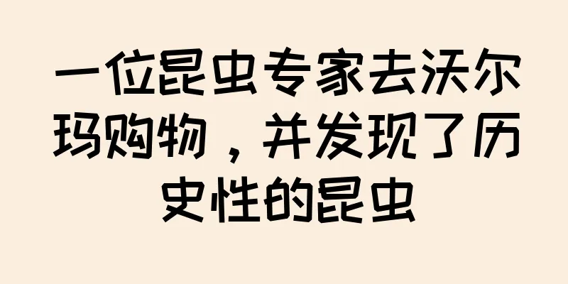一位昆虫专家去沃尔玛购物，并发现了历史性的昆虫