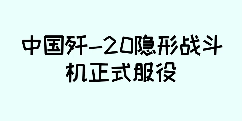 中国歼-20隐形战斗机正式服役