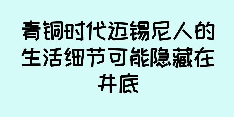 青铜时代迈锡尼人的生活细节可能隐藏在井底