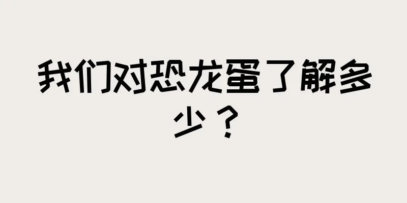 我们对恐龙蛋了解多少？