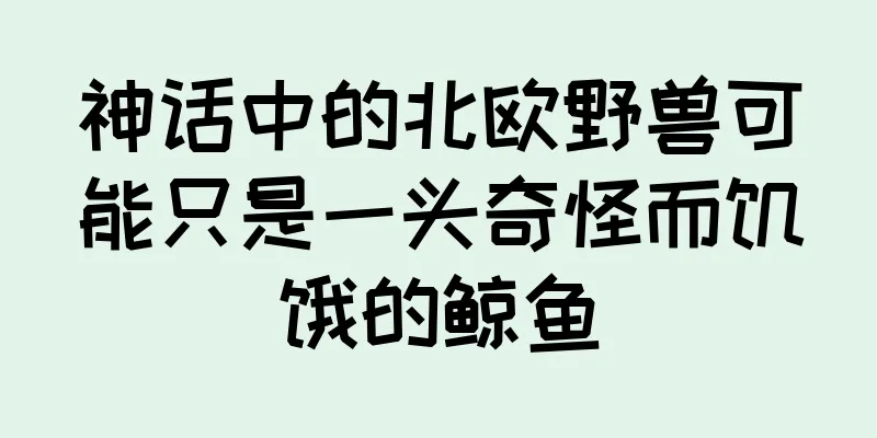 神话中的北欧野兽可能只是一头奇怪而饥饿的鲸鱼
