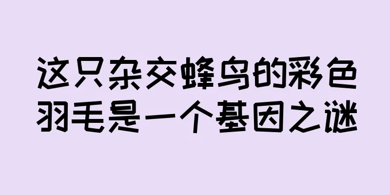 这只杂交蜂鸟的彩色羽毛是一个基因之谜